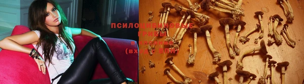 альфа пвп Горнозаводск