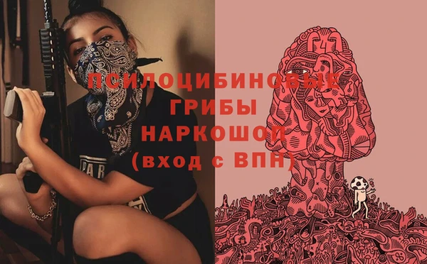 а пвп мука Горняк