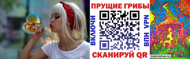 Купить закладки Сосенский Галлюциногенные грибы Magic Shrooms